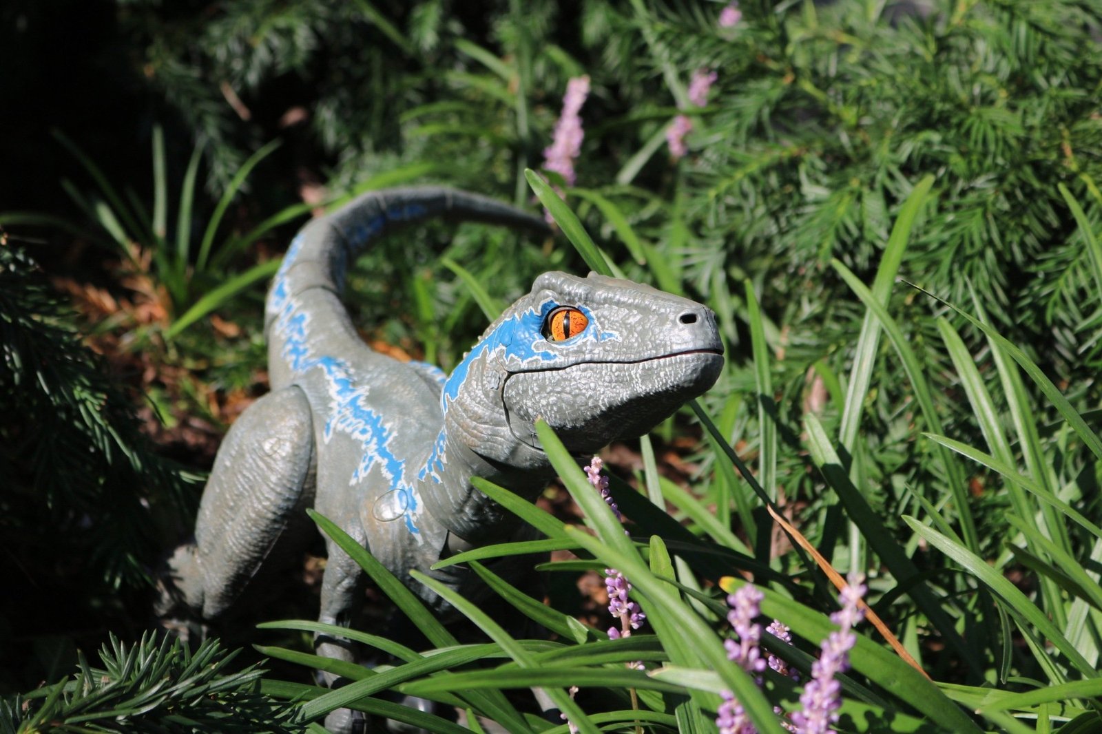 Mashable Image